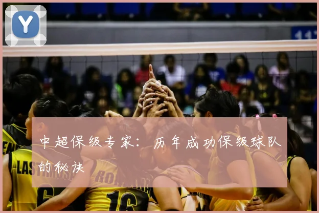 中超保级专家:历年成功保级球队的秘诀